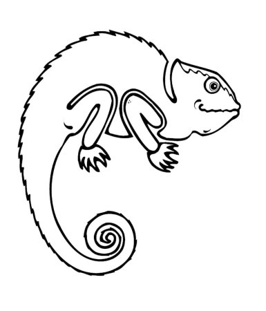 Ящерица раскраска для детей