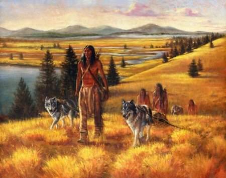 Индейцы Северной Америки приручение волка