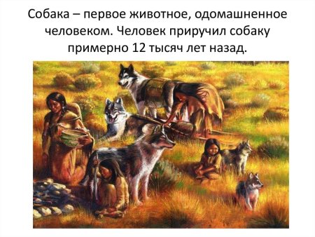 Одомашнивание животных древнего мира