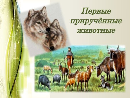 Первые прирученные животные человеком