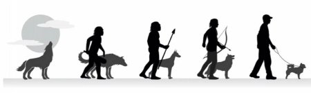 Одомашнивание собаки человеком