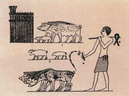 Древний Египет приручение животных