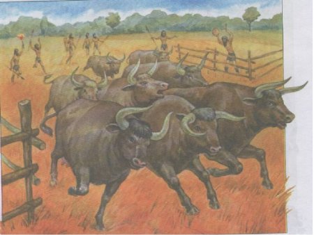 Одомашнивание животных Неолит