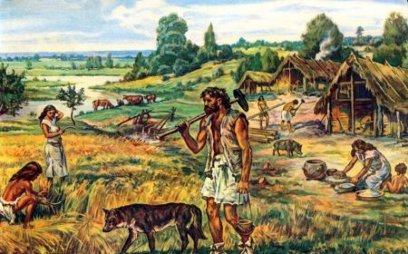 Собаки, приручившие человека