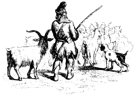 Приручение лошадей в древности