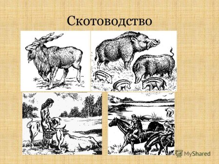 Пьер Жубер первобытные люди