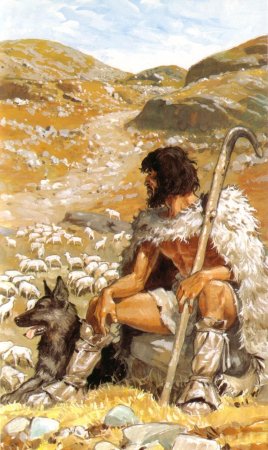 Одомашнивание овец