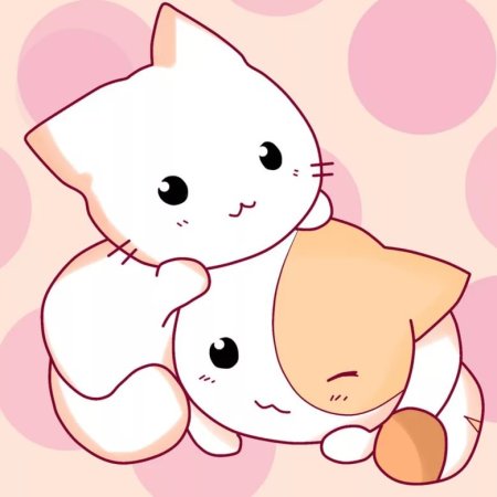 Кавайные котики