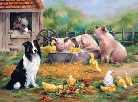 Двор для домашних животных