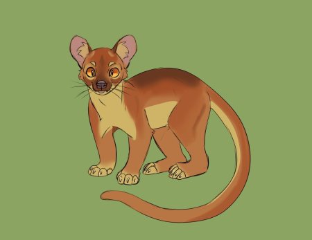 Фоссы Мадагаскар мультфильм