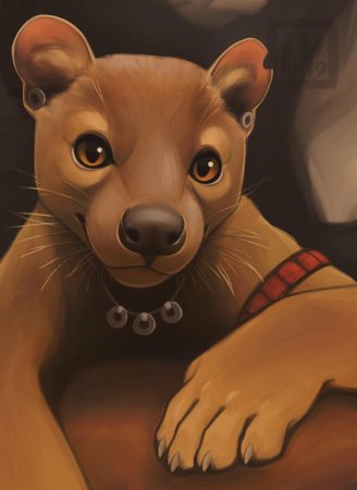 Фосса из Мадагаскара