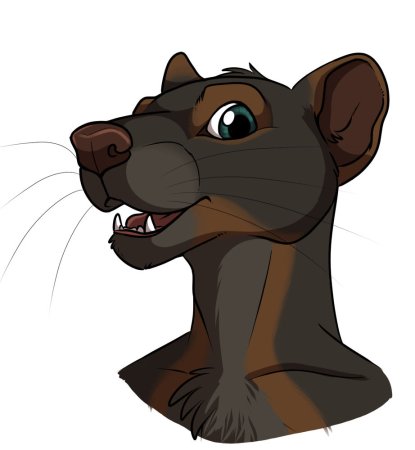 Фоссы Мадагаскар мультфильм