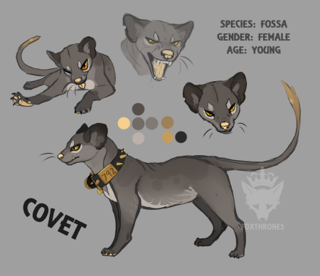 Фосса рисунок