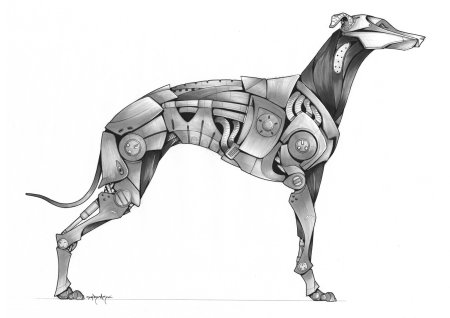 Greyhound водка