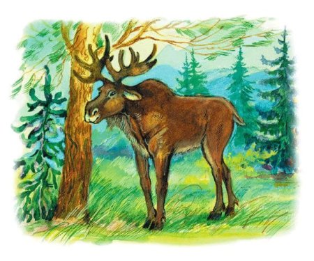 Рисунок леса