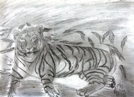 Наброски животных сангиной