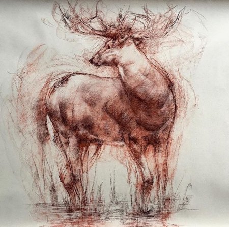 Яковлев портрет Анны Павловой сангина