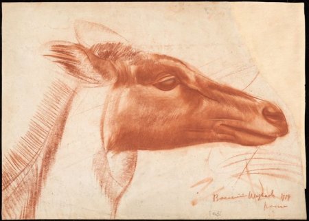 Рондо рисунки животных