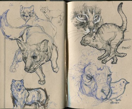 Никита Чарушин художник