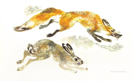 Ватагин медведь