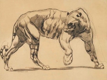 Готфрид Баммес анатомия животных гепард