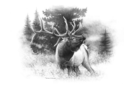 Рисунок на тему животные