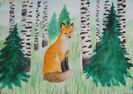 Рисунки природы