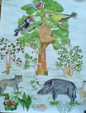 Рисунки природы