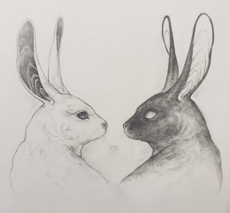 Асимметрия рисунки карандашом животных