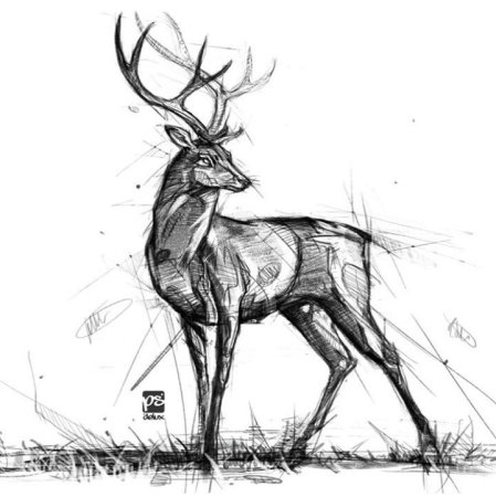 Геометрические эскизы животных