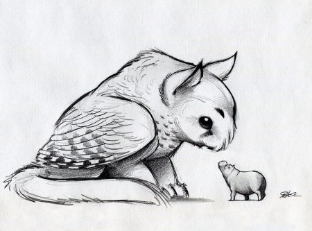 Енот референс