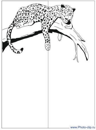 Животные пескоструй