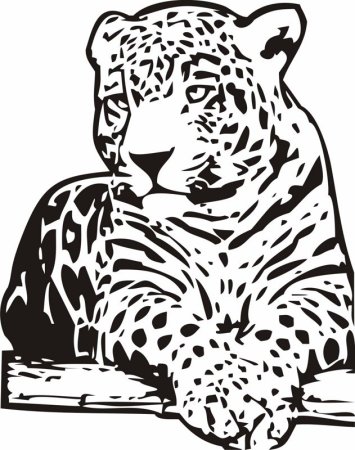 Пескоструйный рисунок леопард