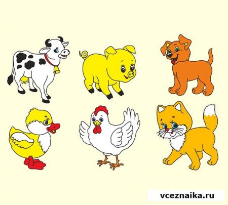 Картинки животных для малышей