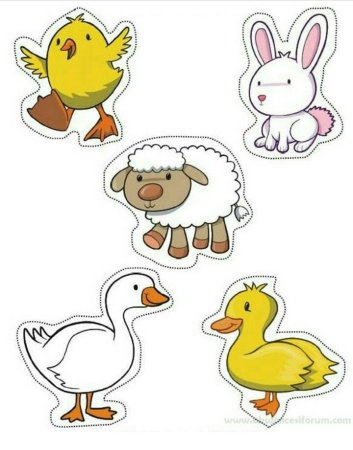 Домашние животные