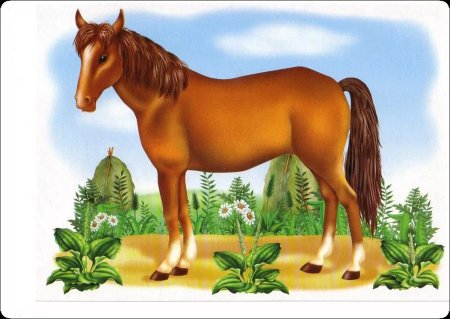 Карточки для малышей животные