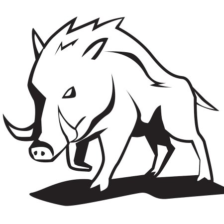 Кабан вектор