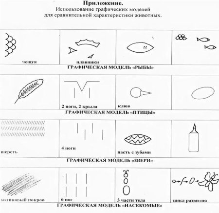Модель птицы Воронкевич для дошкольников
