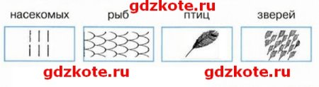 Схематические рисунки насекомых рыб птиц зверей