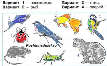 Графическая модель рыбы для дошкольников