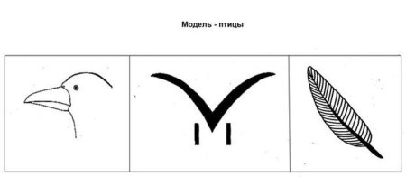 С помощью схематических рисунков главные признаки