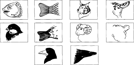 Предметно-схематическая модель «рыбы»