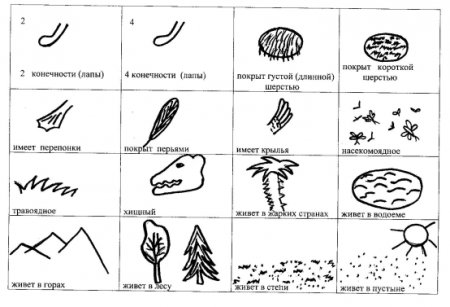 Схематичное изображение насекомых рыб птиц зверей