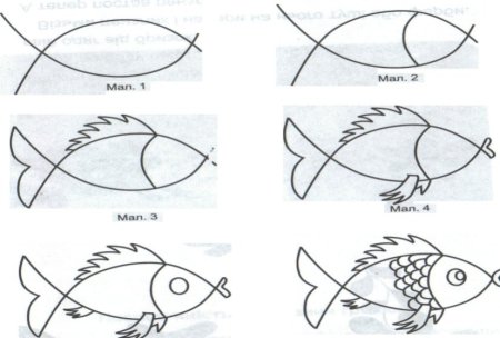Представители беспозвоночных