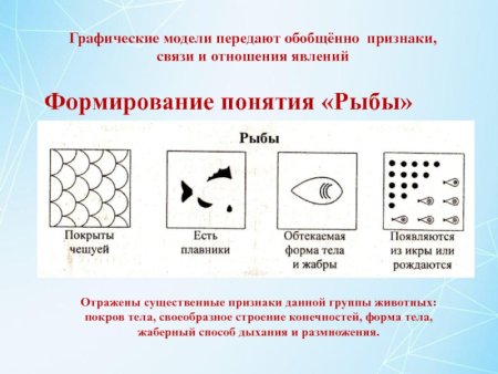 Какие бывают животные рабочая тетрадь