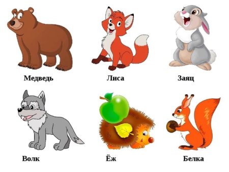 Карточки волк, медведь, лиса, заяц для детей