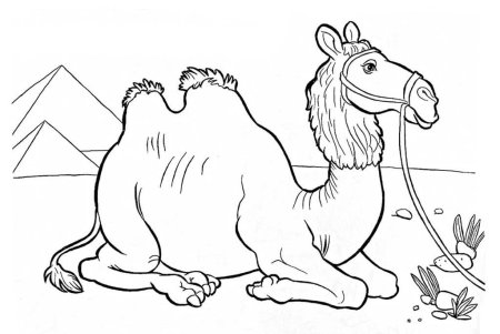 Зарисовки животных мягким материалом