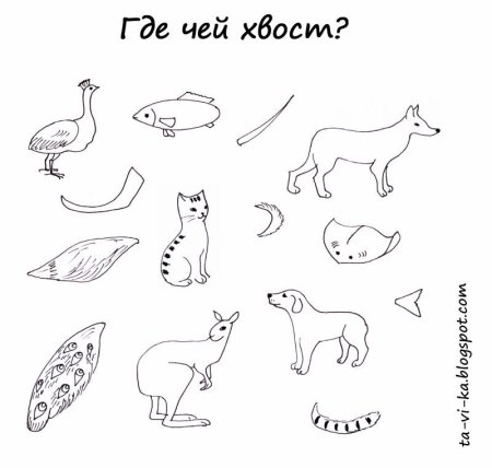 Дикие животные задания чей хвост