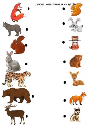 Детеныши диких животных задания для дошкольников
