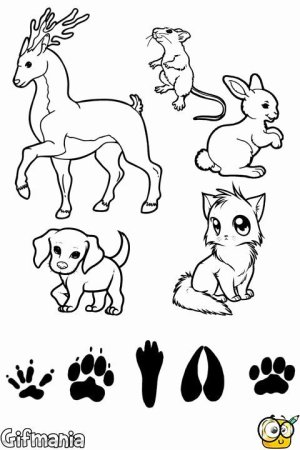 Следы домашних животных